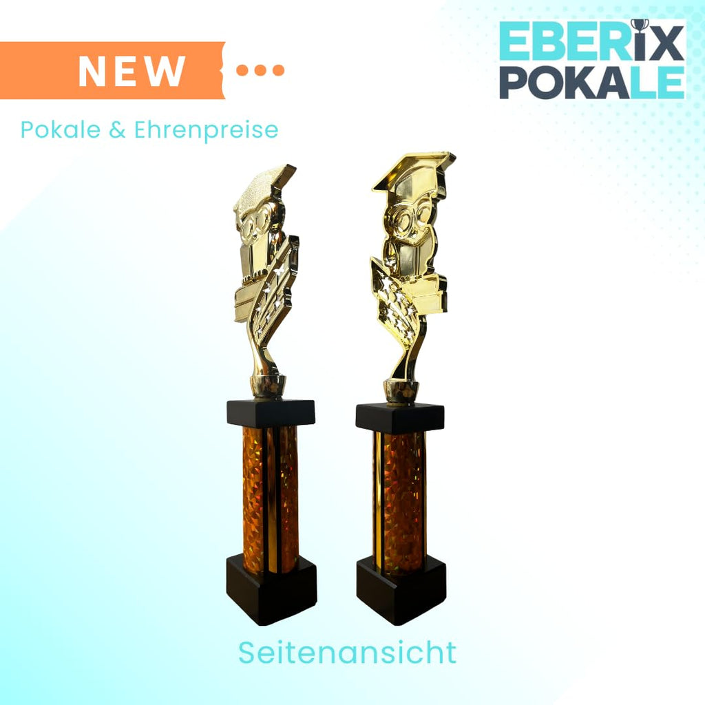 eberix · Bildung Eule Pokal · Trophäe mit Glanzsäule inkl. Gravur · Ehrenpreis für Schulabschluss, Klassenbeste, Abitur, Zeugnisverleihung · optional mit zweitem Gravurschild