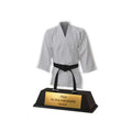 XS Acryl Kampfsport-Pokal 10 cm - Judo & Karate Trophäe mit Gürtel