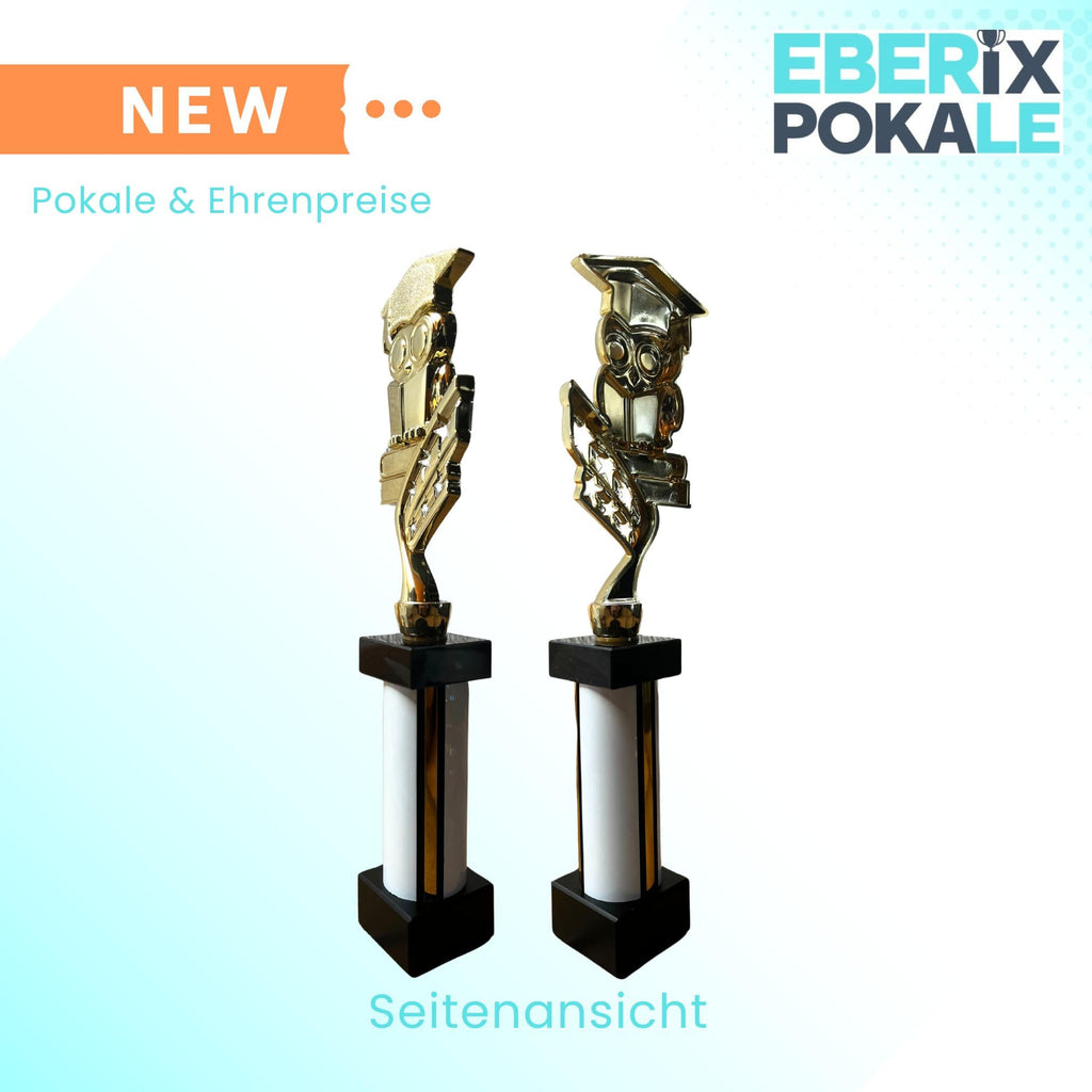 eberix · Bildung Eule Pokal· mit Wunschgravur · Trophäe mit Doktorhut-Motiv · Ehrenpreis für Schulabschluss, Kindergarten, Abitur, Bildungspreis · personalisierbar ·