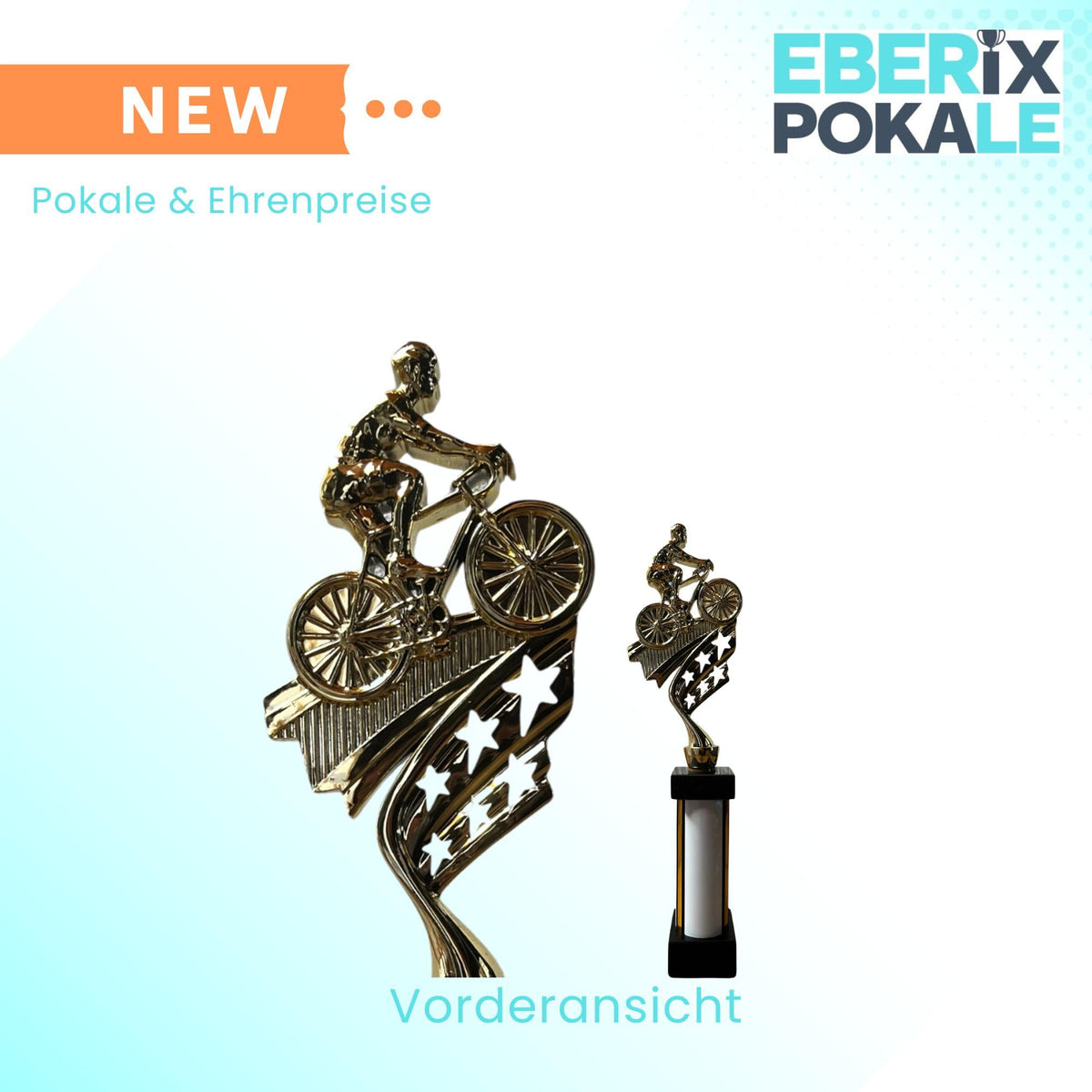 eberix · Radsport Mountainbike Pokal · Fahrrad Pokal · mit Wunschgravur · Stadtradeln Trophäe mit Fahrrad-Motiv · Pokal für Radrennen, Vereinsmeisterschaft · personalisierbar ·