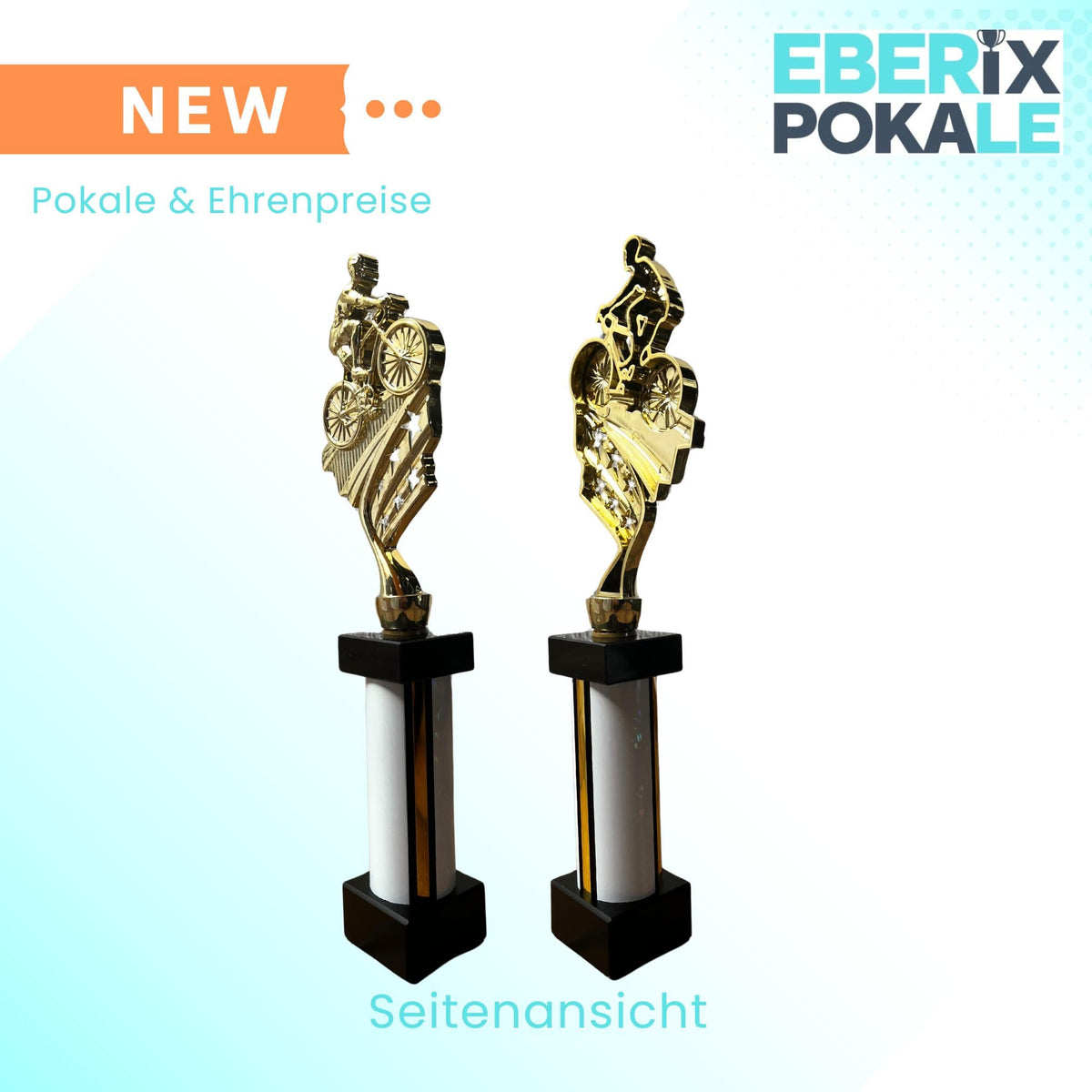 eberix · Radsport Mountainbike Pokal · Fahrrad Pokal · mit Wunschgravur · Stadtradeln Trophäe mit Fahrrad-Motiv · Pokal für Radrennen, Vereinsmeisterschaft · personalisierbar ·