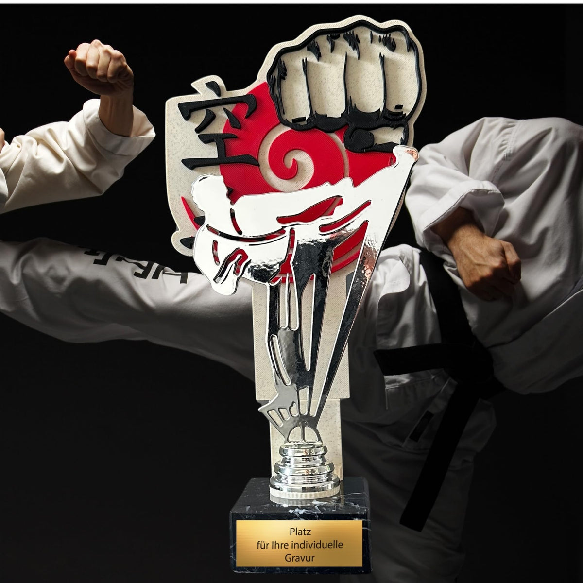 Kampfsport Pokal 27 cm Metallfigur mit Wunschgravur & 3D-Hintergrund