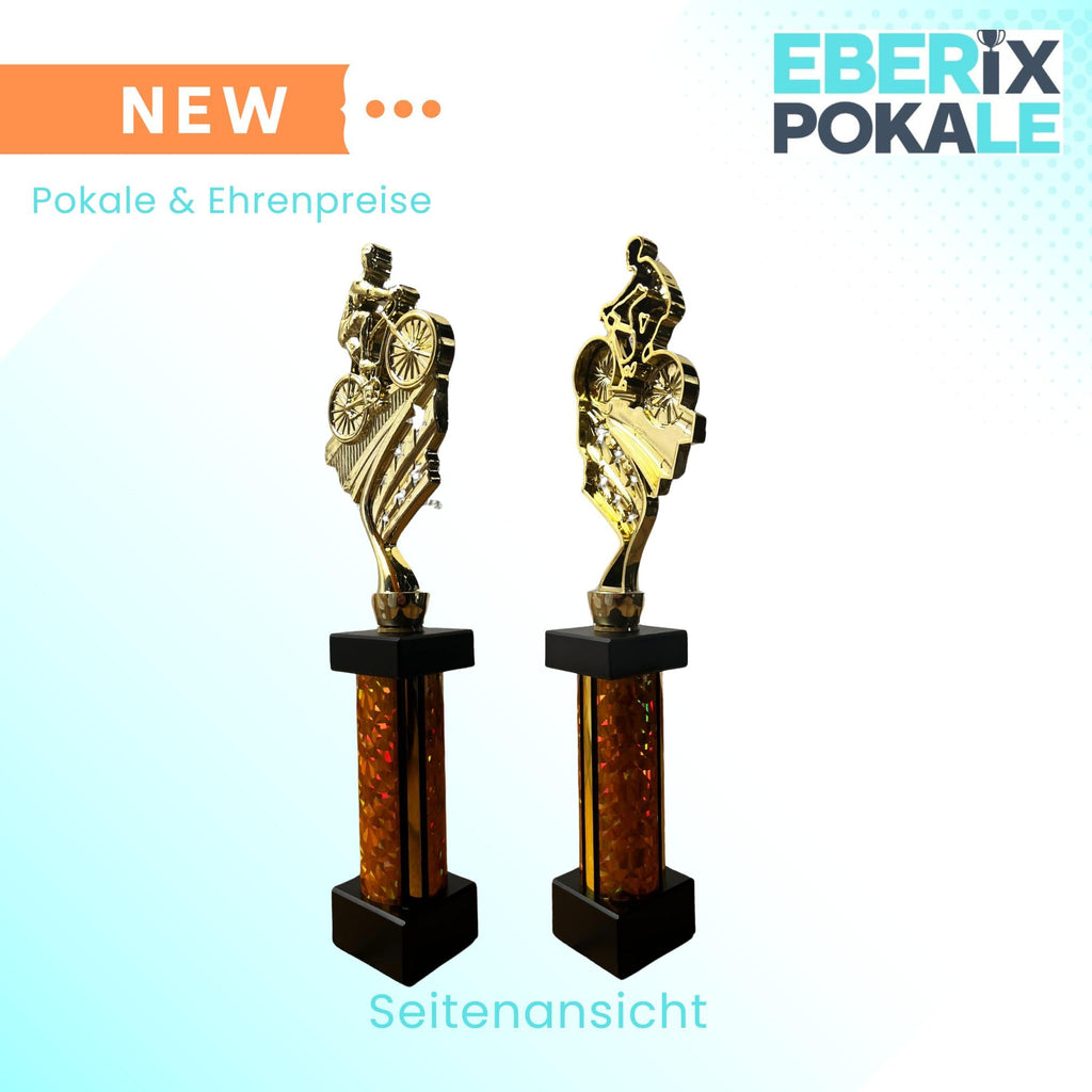 eberix · Fahrrad Pokal · mit Wunschgravur · Stadtradeln Trophäe mit Fahrrad-Motiv · Siegerpokal für MTB-Rennen, Radrennen, Vereinsmeisterschaft · personalisierbar ·