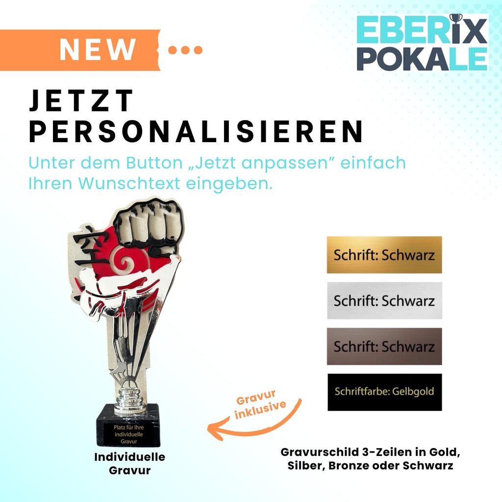 Kampfsport Pokal 27 cm Metallfigur mit Wunschgravur & 3D-Hintergrund