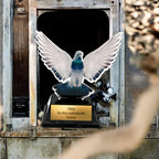 XS Taubenzucht Pokal 10,5 cm - Acryl Trophäe Award Motiv Zuchttaube